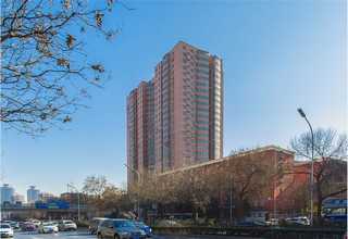 宝坻区简单的视频运营哪家便宜